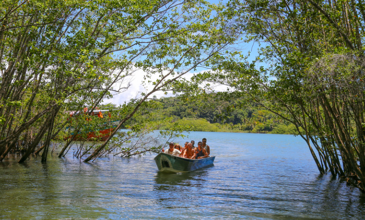 Passeio de Canoa pelo Mangue de Itacaré: a experiência que você não encontra em outro lugar